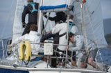 storm free 1991t start whyw24 mon 750 7947